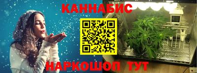 спиды Новодвинск